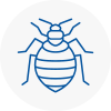 Bed Bug Extermination In Lambourn