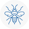 Lambourn Hornet Nest Removals