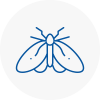Moth Control Specialists In Lambourn