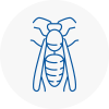 Lambourn Wasp Nest Removal